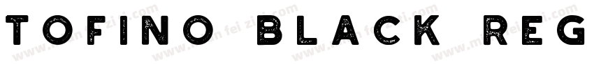 Tofino Black Regular字体转换